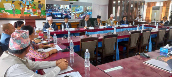 सिंहदरबारमा प्रस्तावित तीन राजदूतको सुनुवाइ, समावेशी र भागबन्डाको विषय उठान